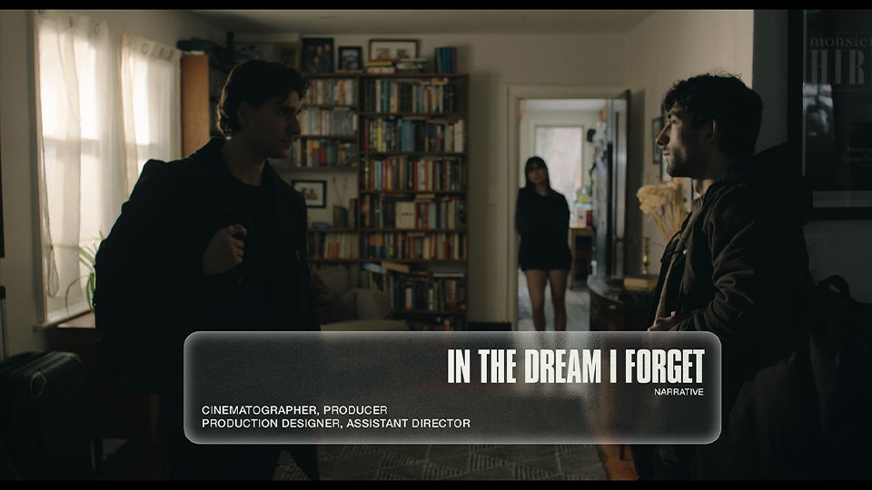 In the Dream I Forget